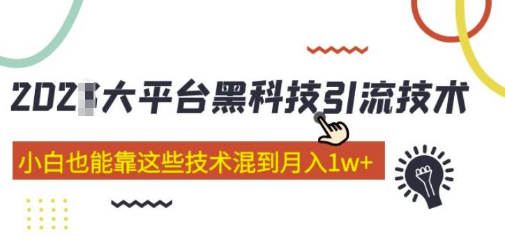 大平台黑科技引流技术,小白也能靠这些技术混到月入1w+(2022年的课程)-赚金金-技能学习分享