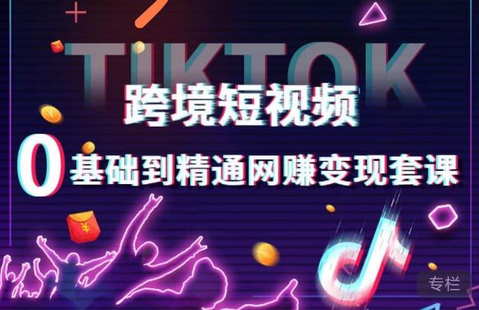 跨境短视频TIKTOK 0基础到精通网赚变现套课,跨境短视频独立站带货变现技巧-赚金金-技能学习分享