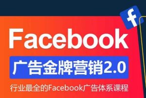 Facebook广告营销体系化教程,Facebook广告金牌营销2.0,行业最全的Facebook广告体系课程-赚金金-技能学习分享