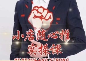 随心推线上课,小店随心推的投放逻辑,投放技巧,快速打标签-赚金金-技能学习分享