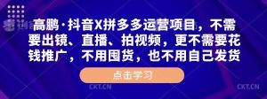 高鹏·抖音X拼多多运营项目,不需要出镜、直播、拍视频,不需要花钱推广,不用囤货,不用自己发货-赚金金-技能学习分享