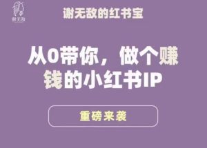 谢无敌·小红书运营大宝典,从0带你做个赚钱的小红书IP-赚金金-技能学习分享