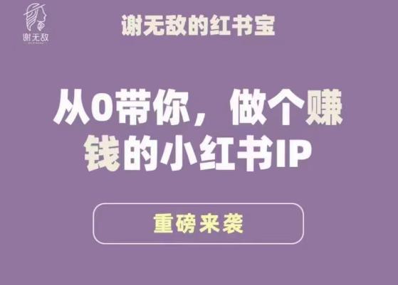 谢无敌·小红书运营大宝典,从0带你做个赚钱的小红书IP-赚金金-技能学习分享