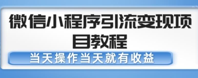 微信小程序引流变现项目教程,当天操作当天就有收益,变现不再是难事-赚金金-技能学习分享