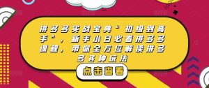 拼多多实战宝典“初级到高手”,新手小白必看拼多多课程,带你全方位解读拼多多各种玩法-赚金金-技能学习分享