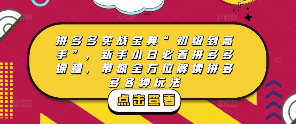 拼多多实战宝典“初级到高手”,新手小白必看拼多多课程,带你全方位解读拼多多各种玩法-赚金金-技能学习分享