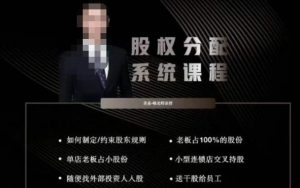 韩老师聊美业-美业股权分配系统课程,如何制定约束股东规则+老板占100%的股份+单店老板占小股份等-赚金金-技能学习分享