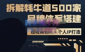 牛牛·500家餐饮品牌搭建&短视频深度解析,拆解牦牛道500家品牌体系搭建-赚金金-技能学习分享