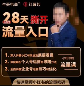 牛哥电商红薯邦28天撕开小红书流量入口,小红书运营系列课,快速掌握小红书的流量密码-赚金金-技能学习分享