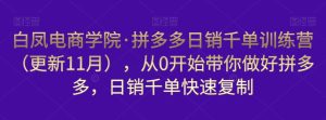 白凤电商学院·拼多多日销千单训练营,从0开始带你做好拼多多,日销千单快速复制(更新知2023年3月)-赚金金-技能学习分享