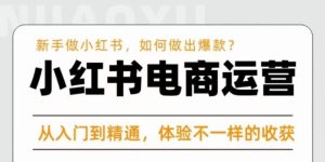 红商学院·小红书电商运营课,新手做小红书如何快速做出爆款,从入门到精通,体验不一样的收货-赚金金-技能学习分享