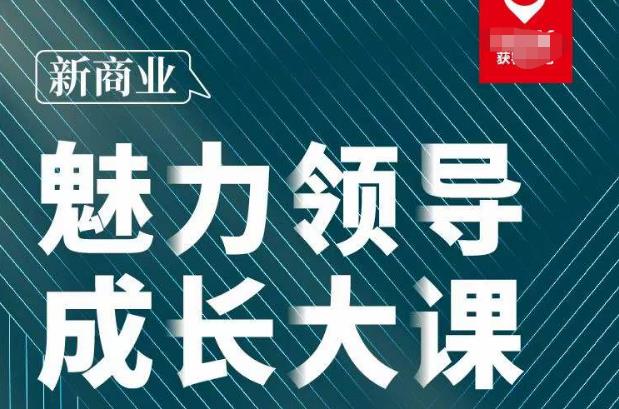 张琦·新商业魅力领导成长大课2023新版,高效管理必修课(30节)-赚金金-技能学习分享