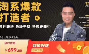 锋投老叶全店动销,淘系干货汇总,各种玩法,淘系爆款打造者-赚金金-技能学习分享