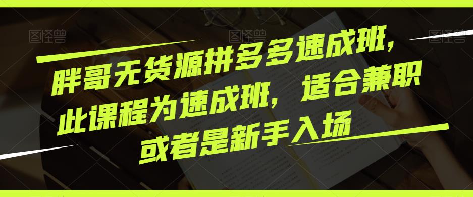 胖哥无货源拼多多速成班,此课程为速成班,适合兼职或者是新手入场-赚金金-技能学习分享