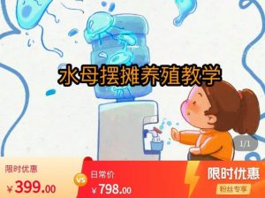 水母摆摊教学,包括摆摊技术、养殖技术、拿货渠道、抖音运营等-赚金金-技能学习分享