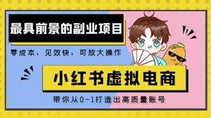 小红书蓝海大市场虚拟电商项目,手把手带你打造出日赚2000+高质量红薯账号-赚金金-技能学习分享