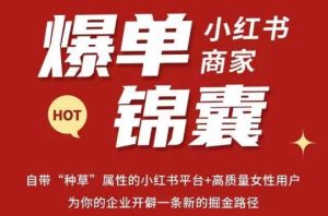 无畏·小红书商家爆单锦囊,掌握小红书各大规则,快速精准抢占行业和市场-赚金金-技能学习分享