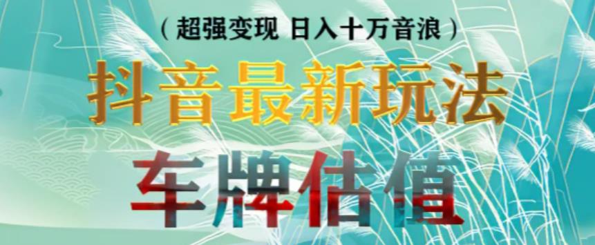 抖音最新无人直播变现直播车牌估值玩法项目，轻松日赚几百+【详细玩法教程】-赚金金-技能学习分享