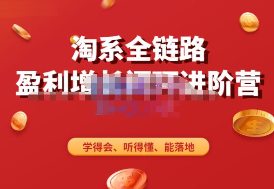 淘系全链路盈利增长闭环进阶营,融合全店动销,学得会、听得懂、能落地!-赚金金-技能学习分享