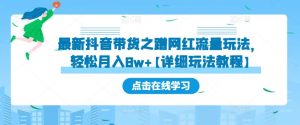 最新抖音带货之蹭网红流量玩法,轻松月入8w+【详细玩法教程】-赚金金-技能学习分享