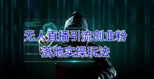 外面收费3980的无人直播引流创业粉落地实操玩法,单日引100+精准创业粉-赚金金-技能学习分享