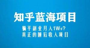 知乎蓝海玩法,躺平副业月入1W+,真正的睡后收入项目(6节视频课)-赚金金-技能学习分享