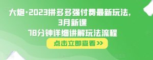 大炮·2023拼多多强付费最新玩法,3月新课78分钟详细讲解玩法流程-赚金金-技能学习分享