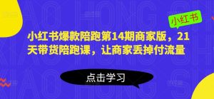 小红书爆款陪跑第14期商家版,21天带货陪跑课,让商家丢掉付流量-赚金金-技能学习分享