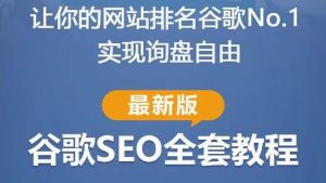 谷歌SEO实战教程:如何让你的网站在谷歌排名第一,内容从入门到高阶,适合个人及团队-赚金金-技能学习分享