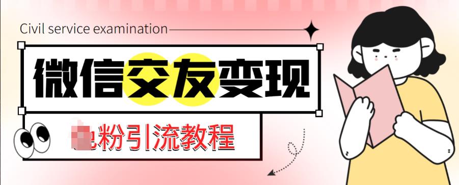 微信交友变现项目,吸引全网LSP男粉精准变现,小白也能轻松上手,日入500+-赚金金-技能学习分享