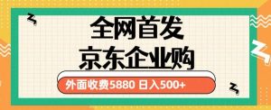 3月最新京东企业购教程，小白可做单人日利润500+撸货项目（仅揭秘）-赚金金-技能学习分享