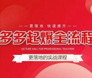 互力-多多新品打爆全流程，拼多多14天拉搜索自然流量，更落地·快速提升-赚金金-技能学习分享