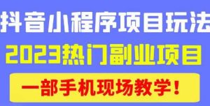 抖音小程序9.0新技巧,2023热门副业项目,动动手指轻松变现-赚金金-技能学习分享