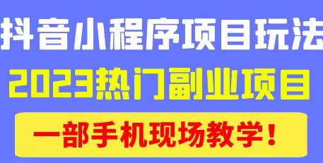 抖音小程序9.0新技巧,2023热门副业项目,动动手指轻松变现-赚金金-技能学习分享