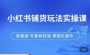 小红书铺货玩法实操课,流量大,竞争小,非常好做,新赛道,可复制性强,可团队操作-赚金金-技能学习分享
