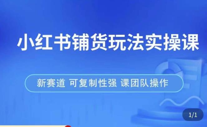 小红书铺货玩法实操课,流量大,竞争小,非常好做,新赛道,可复制性强,可团队操作-赚金金-技能学习分享
