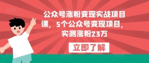 公众号涨粉变现实战项目课,5个公众号变现项目,实测涨粉23万-赚金金-技能学习分享