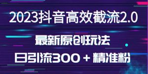 日引300+创业粉,独家抖音高效截流2.0玩法(价值1280)-赚金金-技能学习分享