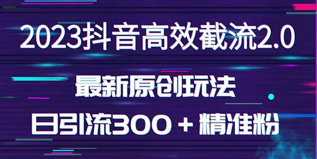 日引300+创业粉,独家抖音高效截流2.0玩法(价值1280)-赚金金-技能学习分享