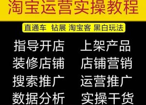 2023淘宝开店教程0基础到高级全套视频网店电商运营培训教学课程-赚金金-技能学习分享