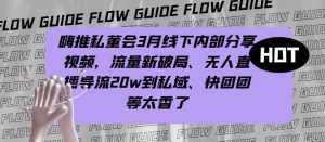嗨推私董会3月线下内部分享视频,流量新破局、无人直播导流20w到私域、快团团等太香了-赚金金-技能学习分享