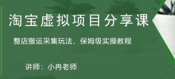 淘宝虚拟整店搬运采集玩法分享课:整店搬运采集玩法,保姆级实操教程-赚金金-技能学习分享