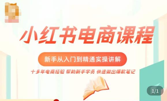 小红书电商新手入门到精通实操课,从入门到精通做爆款笔记,开店运营-赚金金-技能学习分享