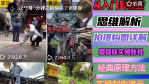 东方糖糖妹抖音短视频全套实战课思维+拍摄+剪辑+运营，从入门到精通-赚金金-技能学习分享