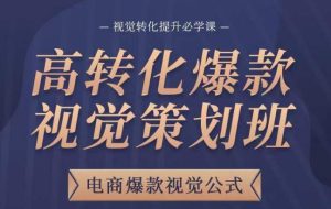 高转化爆款视觉策划班,电商爆款视觉公式,视觉转化提升必学课-赚金金-技能学习分享