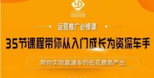 35节课程带你从入门成长为资深车手,让系统学习直通车成为可能,帮你实现直通车的低花费高产出-赚金金-技能学习分享