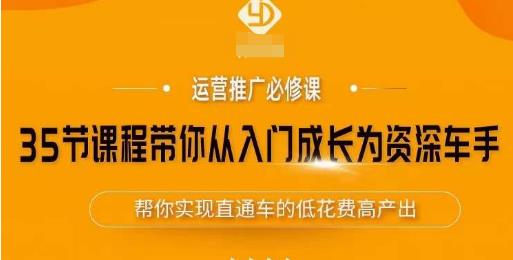 35节课程带你从入门成长为资深车手,让系统学习直通车成为可能,帮你实现直通车的低花费高产出-赚金金-技能学习分享
