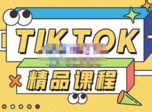 电商孵化中心·TikTok精品课程,教你玩转海外抖音,低成本创业,带您从0开始玩转TikTok-赚金金-技能学习分享