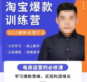 爱上黄昏·淘宝爆款训练营,2023最新运营打法,学习爆款思维,实现利润增长-赚金金-技能学习分享