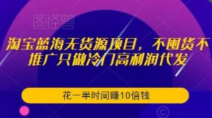 淘宝蓝海无货源项目,不囤货不推广只做冷门高利润代发,花一半时间赚10倍钱-赚金金-技能学习分享